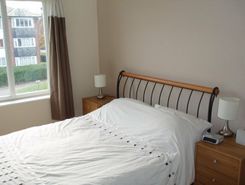 Listing main image