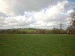Listing main image