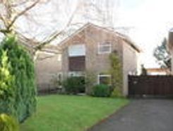 Listing main image