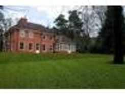 Listing main image