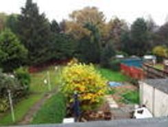 Listing main image